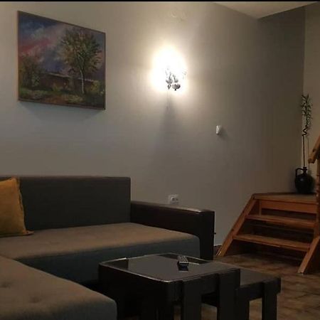 Kuca Ribarev San Villa Beocin Екстериор снимка
