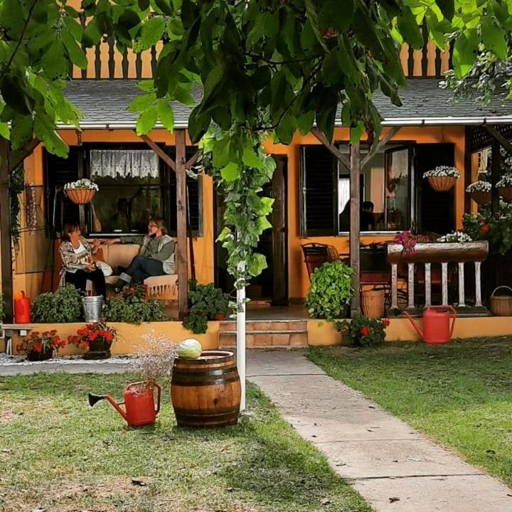 Kuca Ribarev San Villa Beocin Екстериор снимка