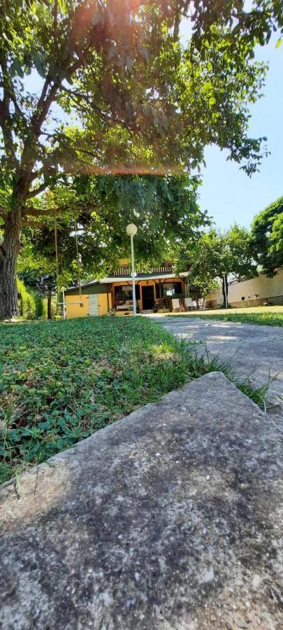 Kuca Ribarev San Villa Beocin Екстериор снимка