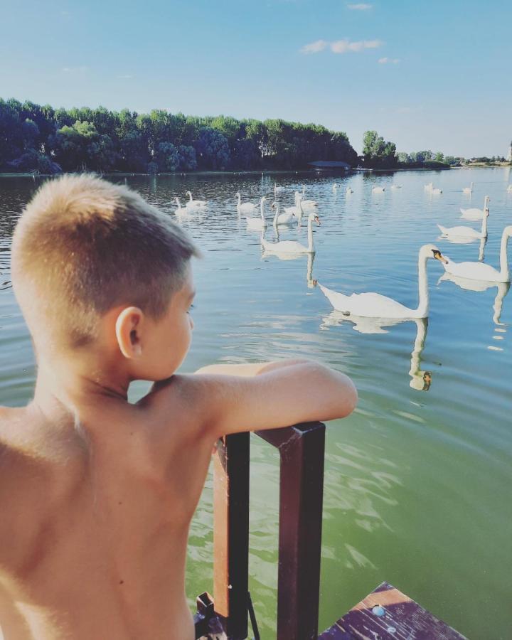 Kuca Ribarev San Villa Beocin Екстериор снимка