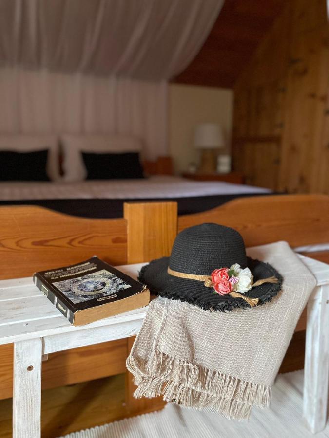 Kuca Ribarev San Villa Beocin Екстериор снимка